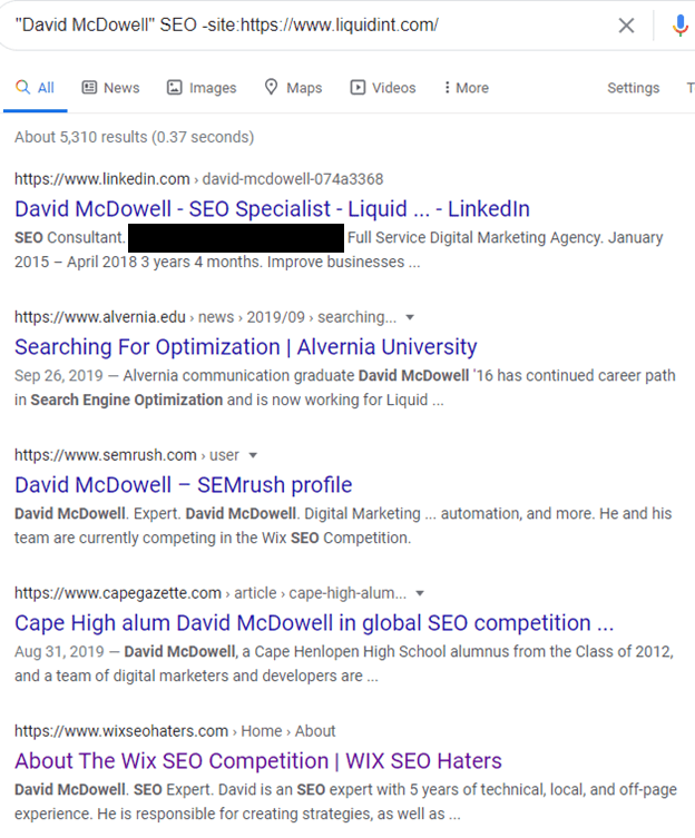 Google Search for websites mentioning David McDowell, SEO and linking to Liquidint.com